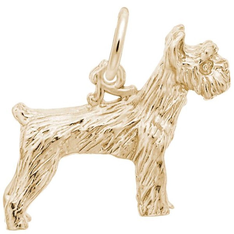 More Jewelry Rembrandt Charms | Schnauzer