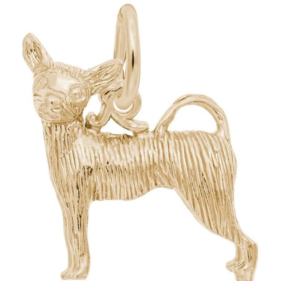 More Jewelry Rembrandt Charms | Chihuahua