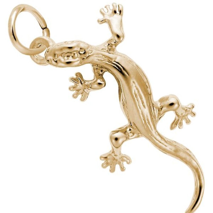 More Jewelry Rembrandt Charms | Lizard