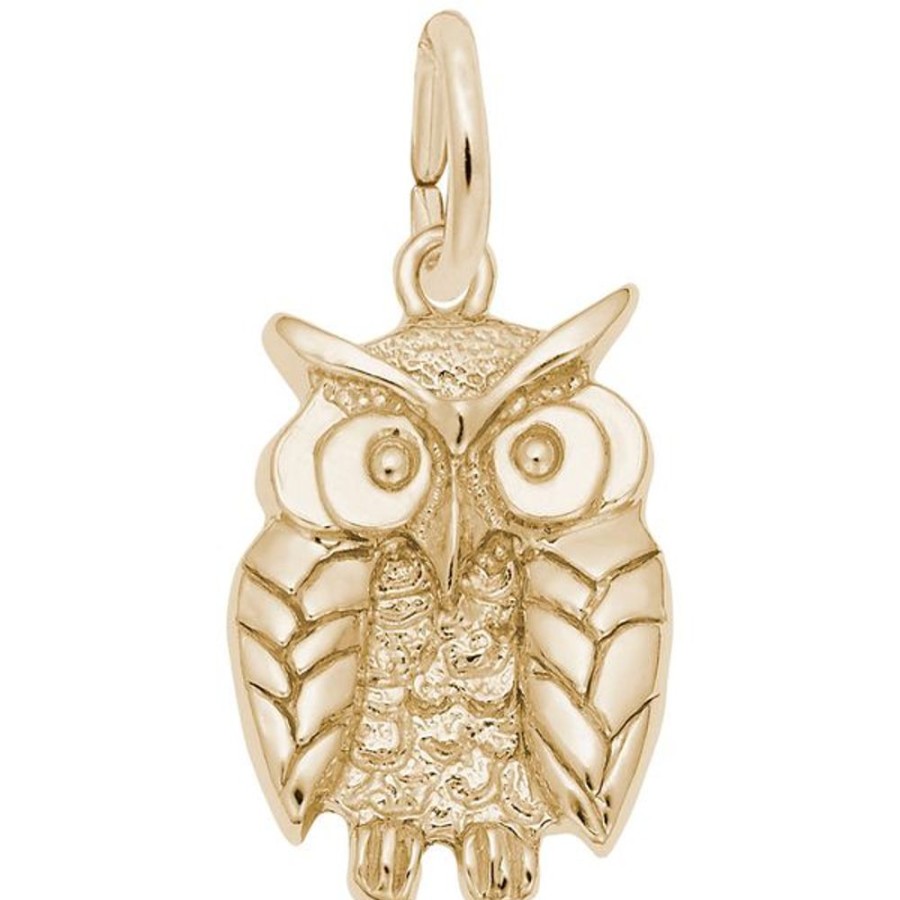 More Jewelry Rembrandt Charms | Wise Owl