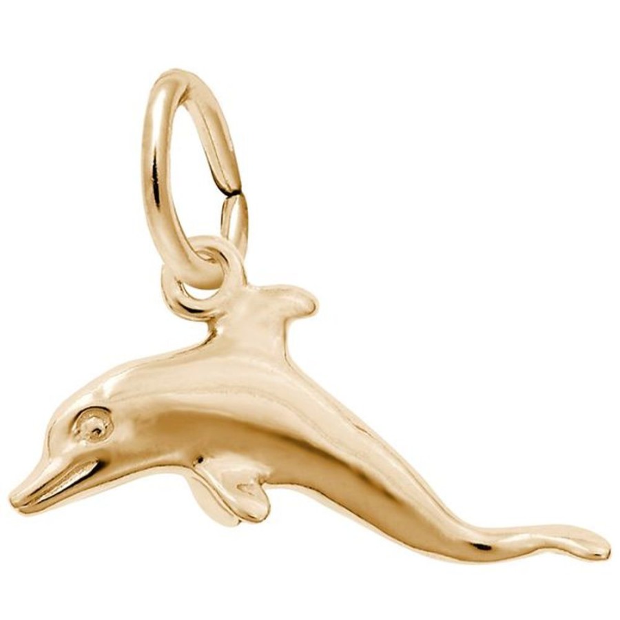 More Jewelry Rembrandt Charms | Dolphin