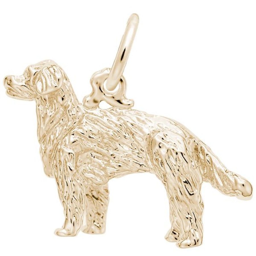 More Jewelry Rembrandt Charms | Golden Retriever